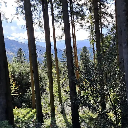 Leibgeding Apartment *