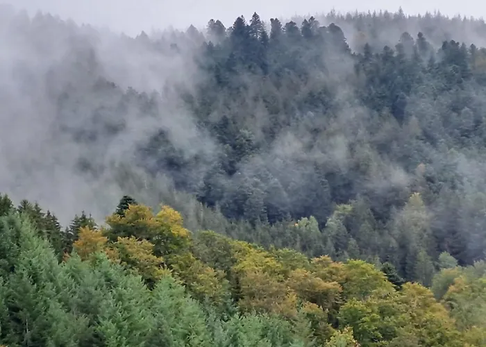 Leibgeding Апартаменты