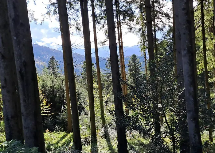 Leibgeding Апартаменты *